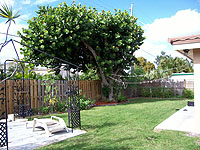 Villa Rica Fenced Yard