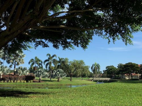 Golf Course view through trees with garden and bridge
