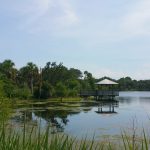 Hillmoor Park and Lake Conservation area, Port St Lucie