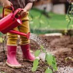 Build wealth by buying a home and growing equity