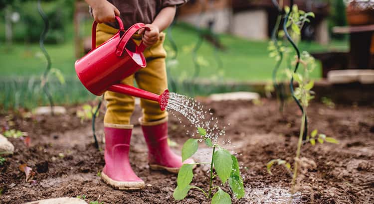 Build wealth by buying a home and growing equity