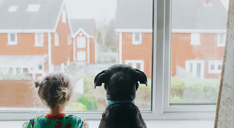 What is the forecast for home inventory in 2021