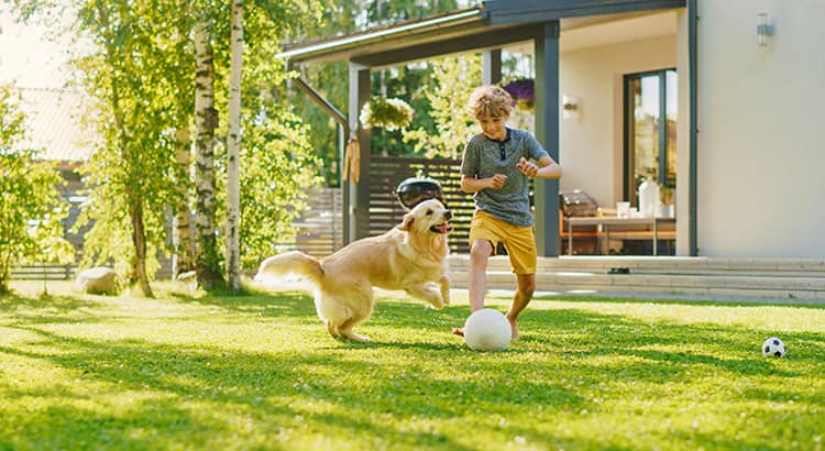 Why 2021 is not your typical summer housing market